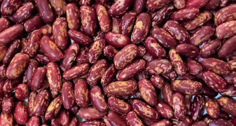GLP 2 Rosecoco Beans 2kg