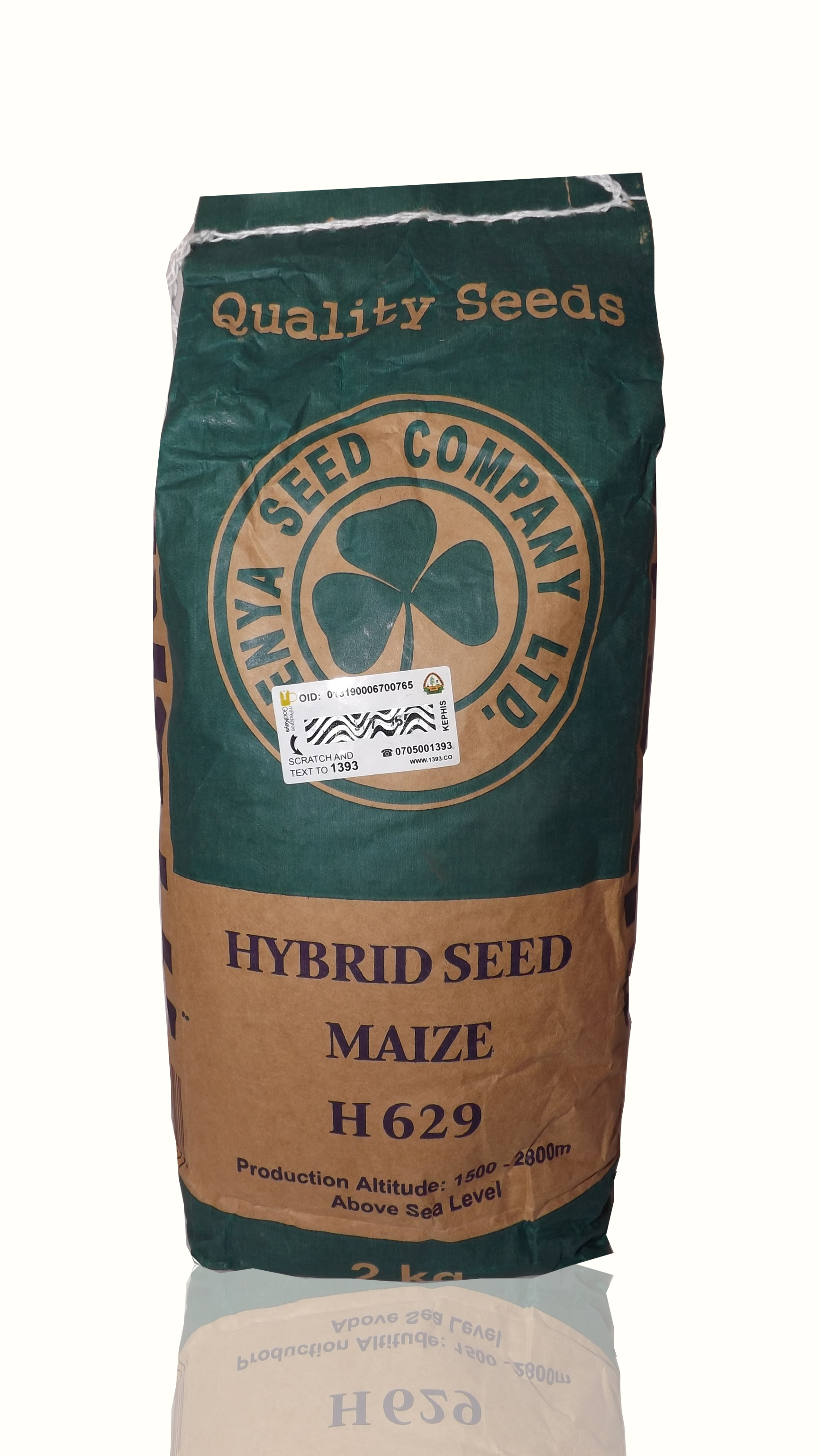 H629 Maize