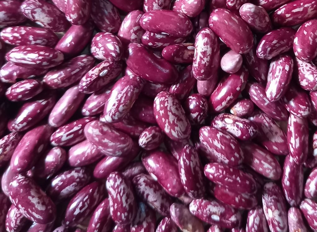 KAZURI BEANS 2KG