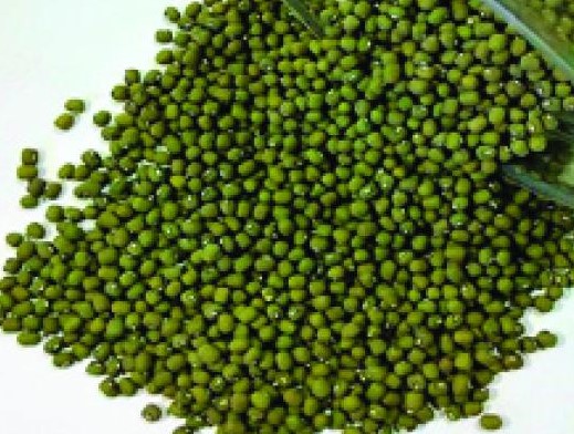 KS20 (Makueni) Greengrams