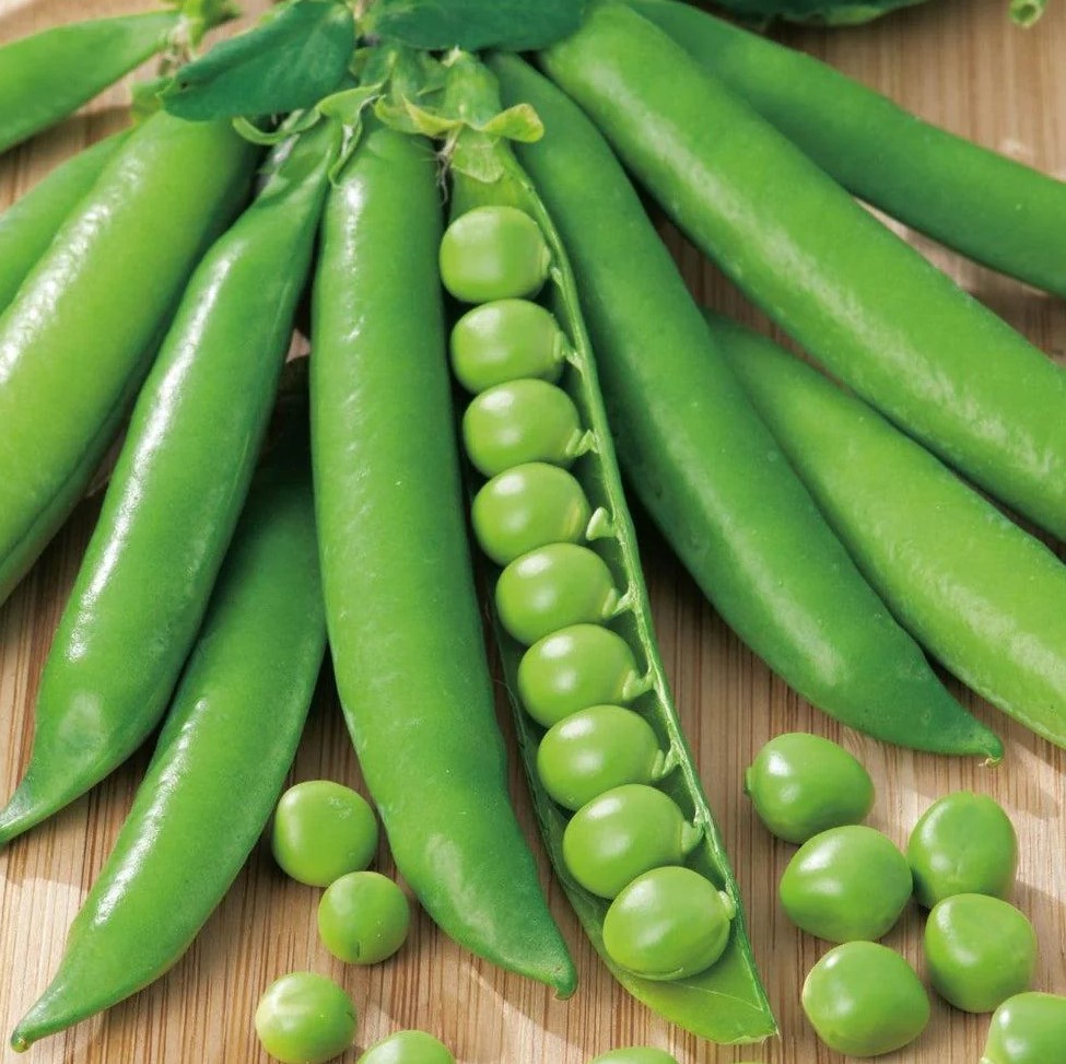 Greenfeast (Kagoci) Peas