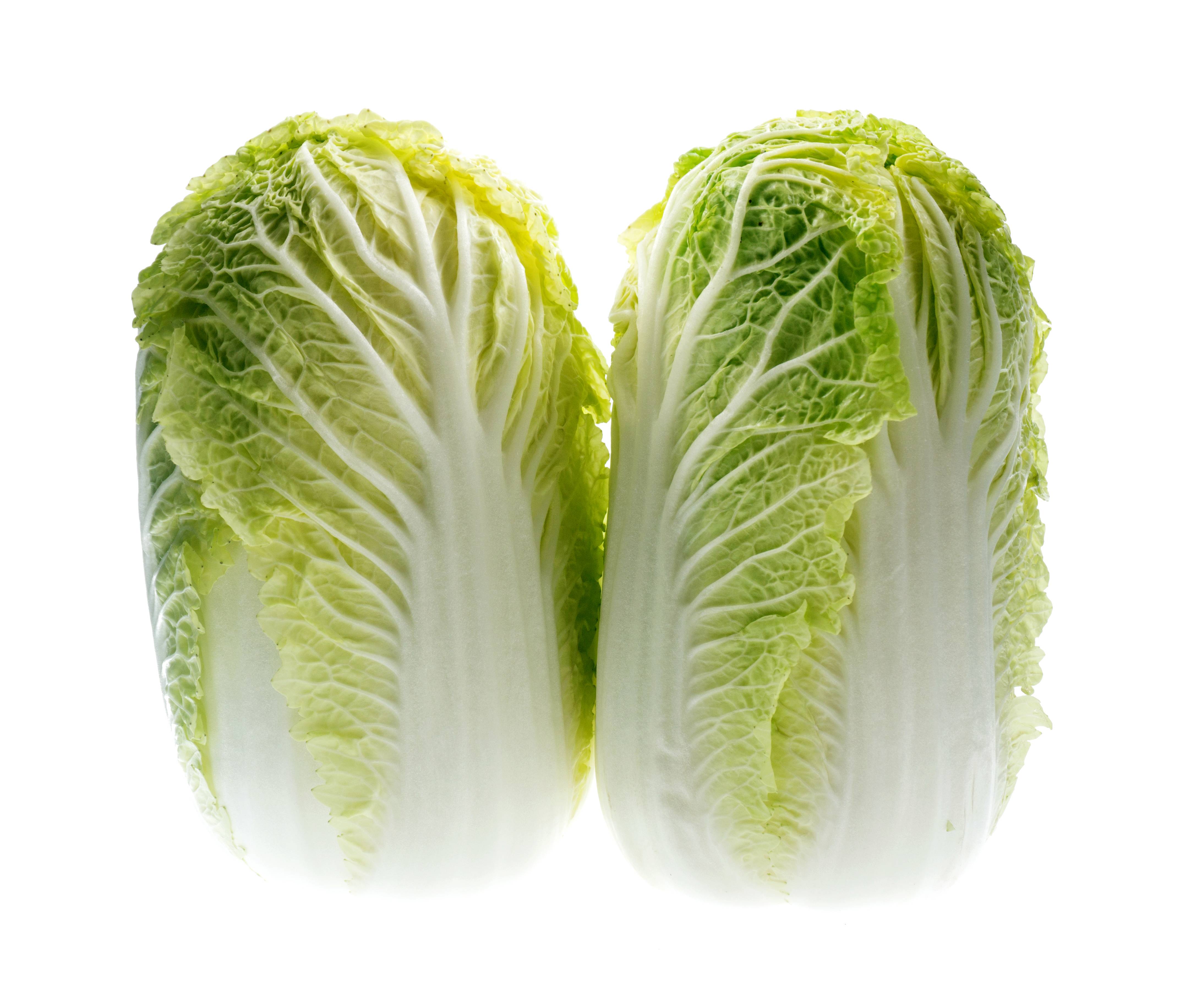 Chinese Cabbage (Michihili)
