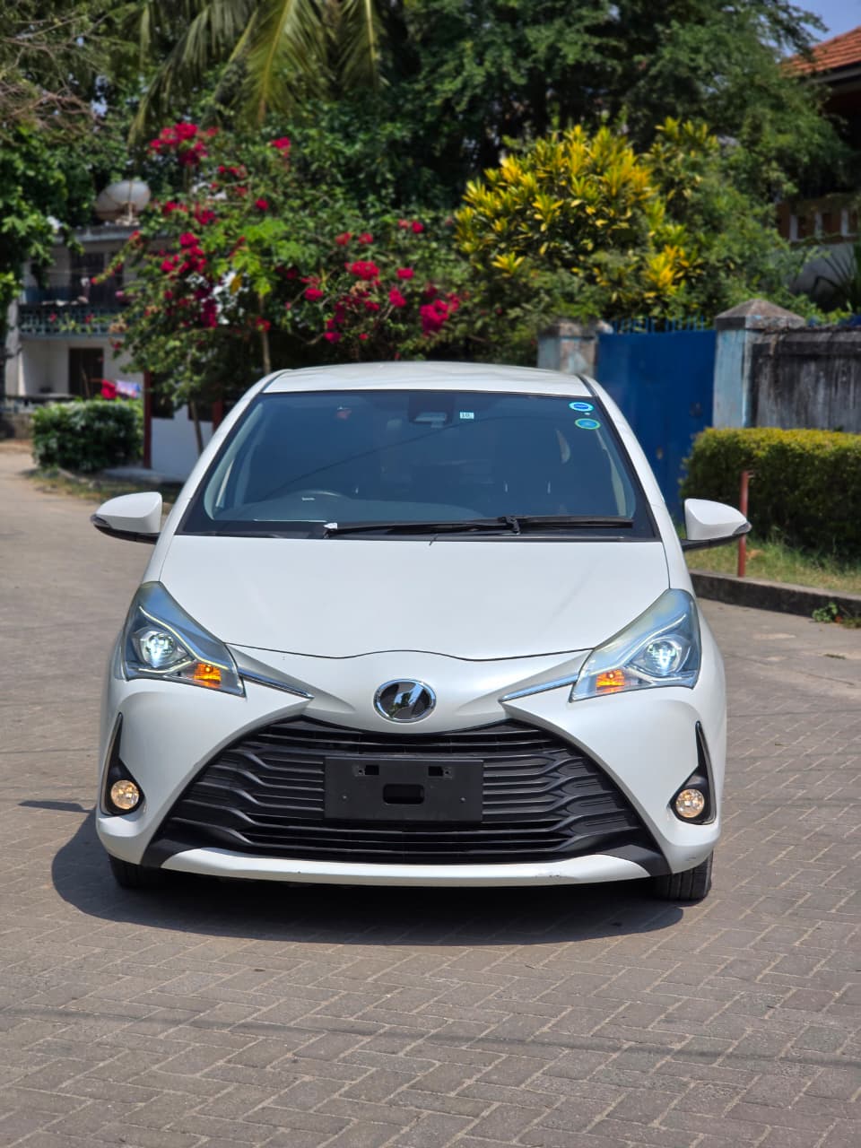 TOYOTA VITZ 2019
